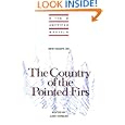 New Essays on The Country of the Pointed Firs (The American Novel)