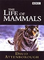 Life of Mammals [2002]
