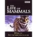 Life of Mammals [DVD] [2002]