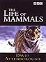 Life of Mammals [DVD] [2002]