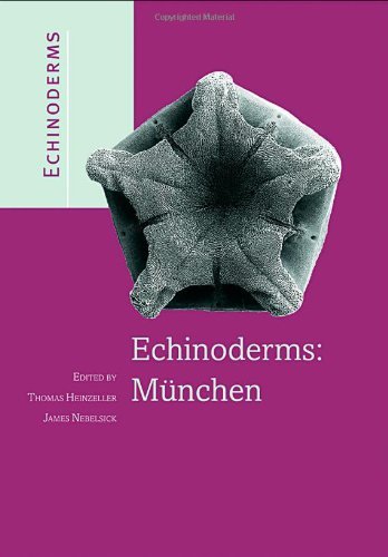 Echinoderms: Munchen