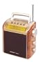 Sangean PR-D2 AM/FM/TV Stereo Digital Q-Radio (Gold)