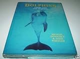Dolphins