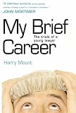 My Brief Career: The Trials of a Young Lawyer