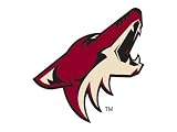 Detroit Red Wings at Phoenix Coyotes