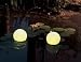 Garten & Freizeit : Wagner Solarleuchte Florida 2er-Set Schwimm-Leuchtkugel Florida, 2 Kugeln mit 2 weisse LEDs