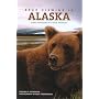 Bear Viewing in Alaska: Expert Techniques for a Great Adventure