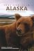 Bear Viewing in Alaska: Expert Techniques for a Great Adventure