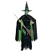 Adults' The Wizard of Oz Wicked Witch Costume
