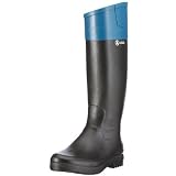 Aigle Equibelle