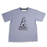 Cool Island - Toddler Boys and Boys Short Sleeve Tee Shirt, Blue (Size 4T)