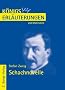 Schachnovelle. Erl�uterungen und Materialien.