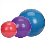 Exercise Fitness Ball 55cm Yoga Swiss Stability Gym