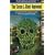 Curse of the Giant Hogweed (Peter Shandy Mysteries)