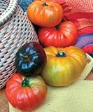 Tomato Seeds - Tomato Heirloom Rainbow Blend