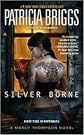Silver Borne Publisher: Ace