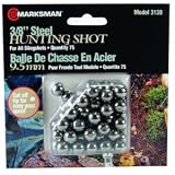 3/8 in. Steel Shot