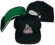 Phoenix Coyotes Black Plastic Snapback Adjustable Snap Back Hat / Cap