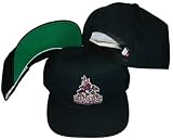 Phoenix Coyotes Black Plastic Snapback Adjustable Snap Back Hat / Cap