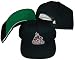 Phoenix Coyotes Black Plastic Snapback Adjustable Snap Back Hat / Cap