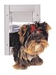 PetSafe Classic Pet Door, Small, White PetSafe Classic Pet Door, Small, White