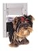Petsafe Classic Pet Door - Small, White