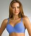 Apparel : Le Mystere Dream Tisha Seamless Full Fit Bra in Cornflower Blue