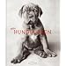 Hunde und Kunst
