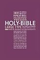 NIV Large Type Bible (Bible Niv)