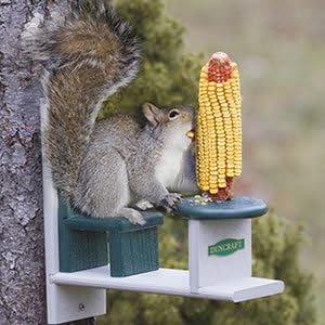 Duncraft Eco-Squirrel Table & Chair