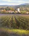 2 Tuscan Prints Italian Vineyard Wine Grove Tuscany Posters