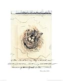 Butterfly Art Print Poster By Julie Nightingale, 22  x 28 
