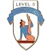 Sporting Goods : Women's Level 5 Gymnastics Pin.
