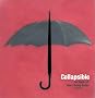 Collapsible: the Genius of Space-Saving Design