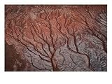 Aerial of the Painted Desert, Petrified Forest National Park, USA, Arizona Photographic Poster Print by Jim Wark, 24x18