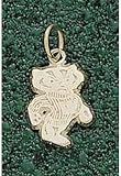 Anderson Jewelry Wisconsin Badgers Bucky 1/2 Gold Charm