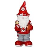 NCAA Ohio State Buckeyes Team Thematic Gnome