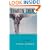 Angel-Seeker: A Novel of Samaria