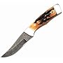Bear and Son 6 1/2" Genuine India Stag Bone Damascus Steel Upswept Skinner with Leather Sheath