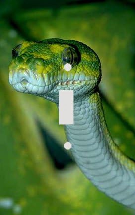 Pit Viper Decorative Switchplate Cover