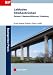 Leitfaden Straßenbrücken: Entwurf, Baudurchführung, Erhaltung (Bauingenieur-Praxis)