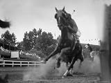 Horse Twisting Its Body as It Hits Turn During Race at Cumberland Photographic Poster Print by Hank Walker, 16x12