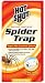 Outdoor Living : SPECTRUM HG-95686 "HOT SHOT" SPIDER TRAP