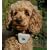 GOOD IDEA BARK CONTROL COLLAR(646)- TRAINING, OBEDIENCE.