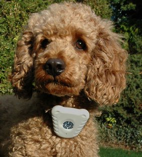 GOOD IDEA BARK CONTROL COLLAR(646)- TRAINING, OBEDIENCE.