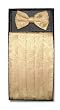 Cumberbund & BowTie GOLD Color PAISLEY Design Men's Cummerbund & Bow Tie Set