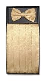 Cumberbund & BowTie GOLD Color PAISLEY Design Men's Cummerbund & Bow Tie Set