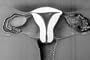1940s Scientific Sexual Education Video: Human Reproduction DVD (1947)