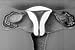 1940s Scientific Sexual Education Video: Human Reproduction DVD (1947)
