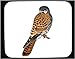 Mouse Pad with falcon, vertebrate, falk, raptor, bird of prey, animal, avian, bird, predator, sparrow hawk
